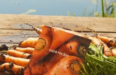 Осветляющая тканевая маска с экстрактом моркови Papa Recipe Carrot Solution Mask Pack