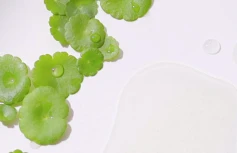 Очищающая вода для снятия макияжа с низким pH PYUNKANG YUL Low pH Cleansing Water
