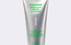 Гель для умывания с экзосомами и экстрактом хауттюйнии DR.REBORN Exosome Heartleaf Repair Cleanser