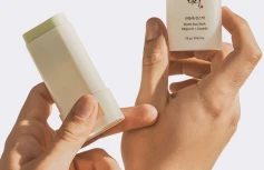 Солнцезащитный стик с экстрактом полыни Beauty of Joseon Matte Sun Stick Mugwort + Camelia SPF 50+ PA++++