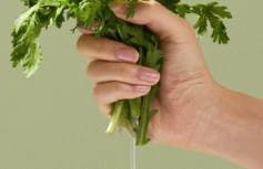 Очищающее гидрофильное масло с экстрактом полыни Fraijour Original Herb Wormwood Cleansing Oil