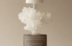 Ампульная сыворотка с экстрактом ледяного гриба и коллагеном I'm From Mushroom Collagen Ampoule
