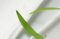 Глубокоочищающая пенка для умывания с салициловой кислотой Blithe Anti-Polluaging Pore Cleansing Foam