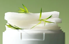 Успокаивающие тонер-пэды для лица с экстрактом чайного дерева Dr.Ceuracle Tea Tree Purifine Toner Pad