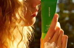 Солнцезащитный крем с экстрактом чайного дерева Papa Recipe Tea Tree Control Mild Sun Cream SPF50+ PA++++
