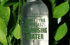 Очищающая вода для снятия макияжа Derma Factory Houttuynia Cordata 92% Cleansing Water