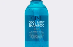 Охлаждающий шампунь с ментолом Esthetic House CP-1 Head SPA Cool Mint Shampoo