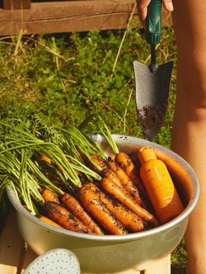 Осветляющий тонер с экстрактом моркови Papa Recipe Carrot Solution Skin