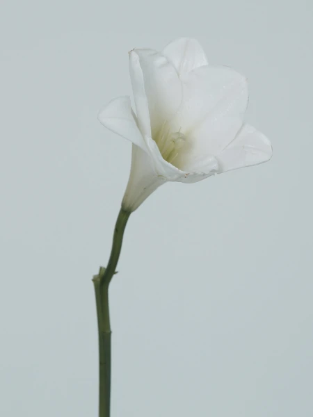 Кератиновая сыворотка для секущихся кончиков La’dor Keratin Power Glue