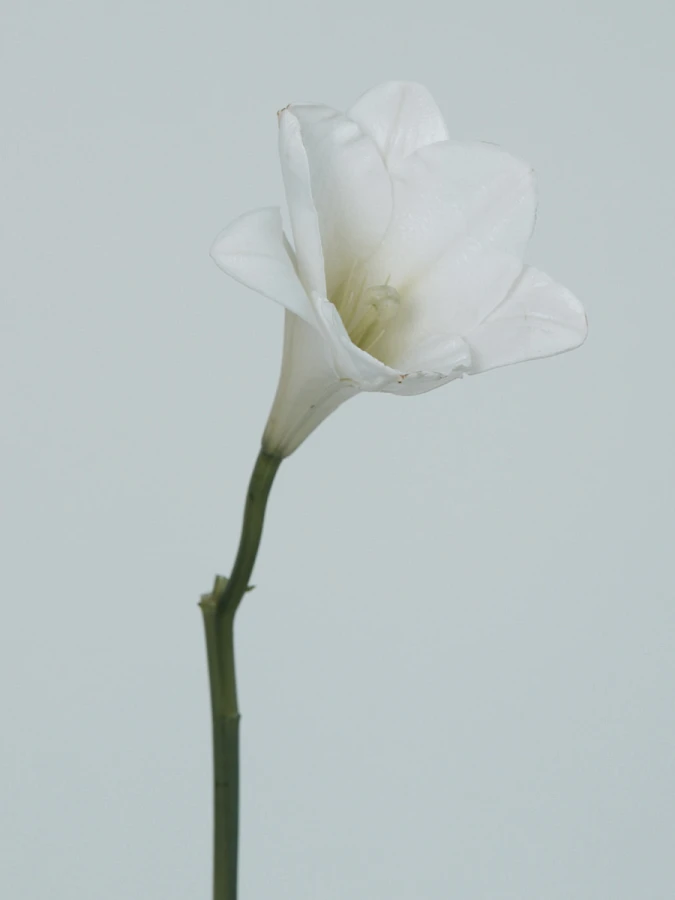 Кератиновая сыворотка для секущихся кончиков La’dor Keratin Power Glue