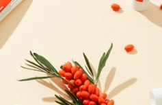 Витаминный крем с экстрактом облепихи PURITO Sea Buckthorn Vital 70 Cream