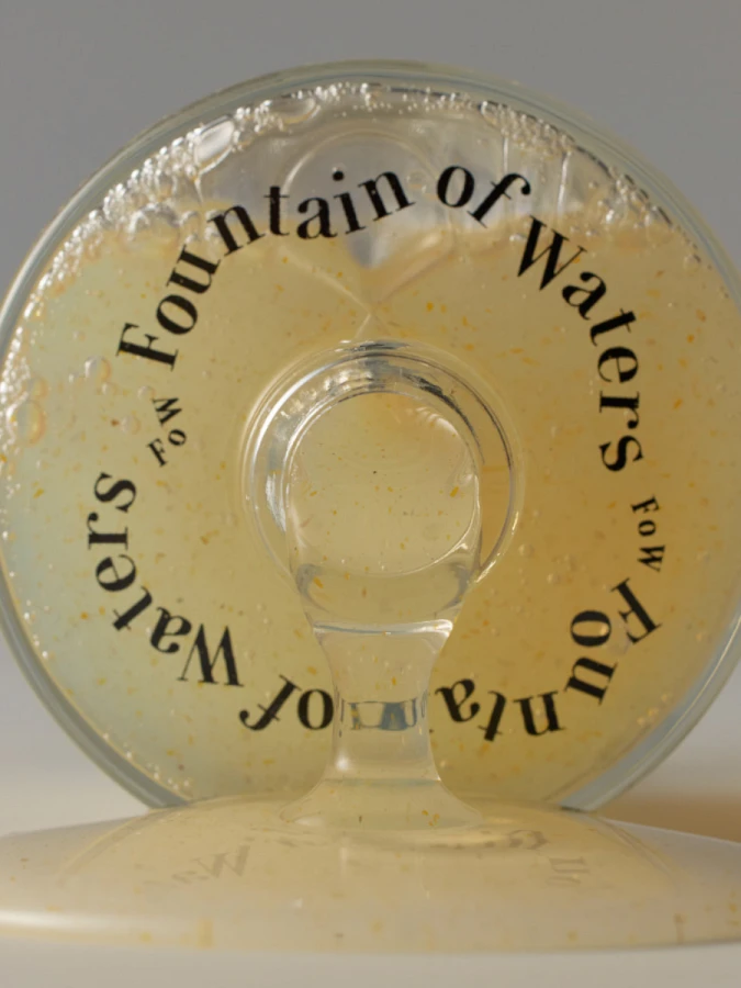 Парфюмированное мыло для рук Fountain of Waters Tomato Garden Hand Wash