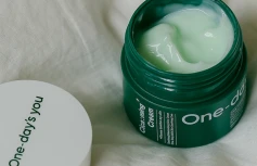 Успокаивающий гель-крем с экстрактом центеллы азиатской One-Day's You Cica:ming Cream