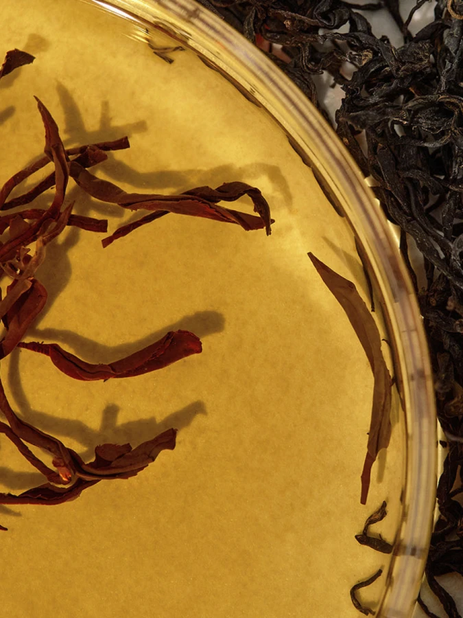 Балансирующий тонер с экстрактом комбучи в наборе с хлопковыми дисками KAINE Kombu Balancing Ampoule Toner