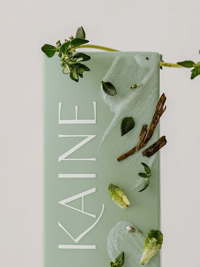 Солнцезащитный крем с экстрактом бамбука KAINE Green Fit Pro Sun SPF50+PA++++