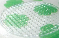 Патчи против воспалений с ретинолом и экстрактом центеллы innisfree Retinol Cica Focusing Patch