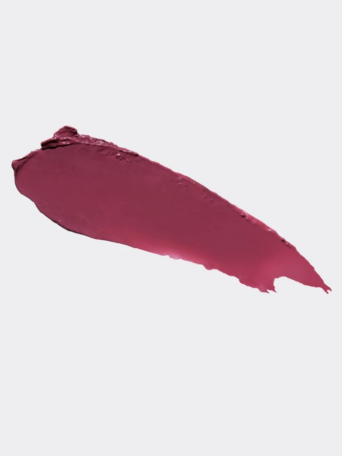 Многофункциональный оттеночный бальзам-слайдер для губ BRAYE Lipsleek 06 Plucky