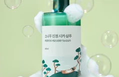 Себорегулирующий шампунь с экстрактом сосны и центеллы Round Lab Pine Calming Cica Shampoo