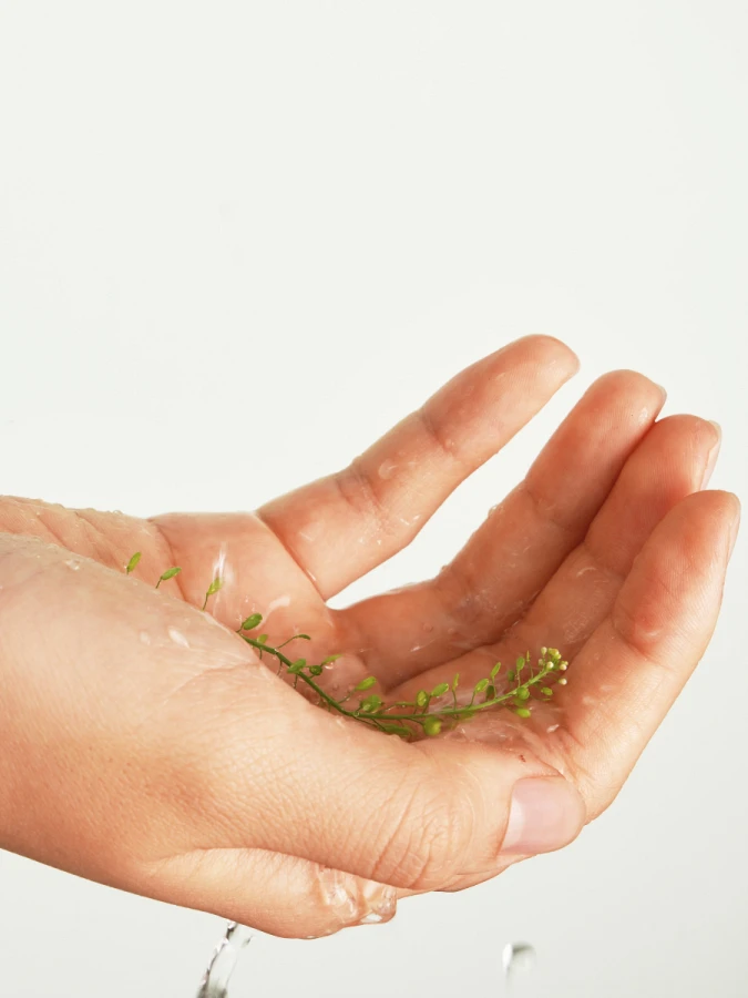 Успокаивающий тонер с экстрактом хауттюйнии Fraijour Heartleaf Blemish Toner