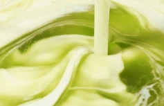 Успокаивающая двухфазная сыворотка с матчей и экстрактом центеллы VT Matcha Cica Layer Serum