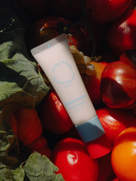 Парфюмированный крем-сыворотка для рук с антиоксидантами Fountain of Waters Tomato Garden Hand Serum Cream Парфюмированный крем-сыворотка для рук с антиоксидантами Fountain of Waters Tomato Garden Hand Serum Cream