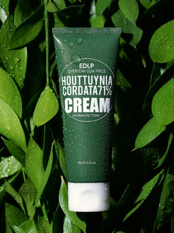 Успокаивающий крем для лица с экстрактом хауттюйнии Derma Factory Houttuynia Cordata 71% Cream