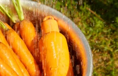 Осветляющий тонер с экстрактом моркови Papa Recipe Carrot Solution Skin
