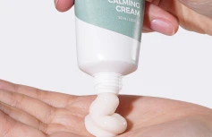 Успокаивающий крем для лица с экстрактом полыни IsNtree Mugwort Calming Cream