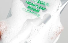 Гель для умывания с экзосомами и экстрактом хауттюйнии DR.REBORN Exosome Heartleaf Repair Cleanser