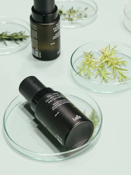Освежающий сухой шампунь с экстрактом зелёного чая La’dor Tea Tree Calming Scalp Dry Shampoo