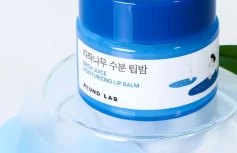 Набор: Увлажняющий бальзам для губ с берёзовым соком + кисть Round Lab Birch Juice Moisturizing Lip Balm