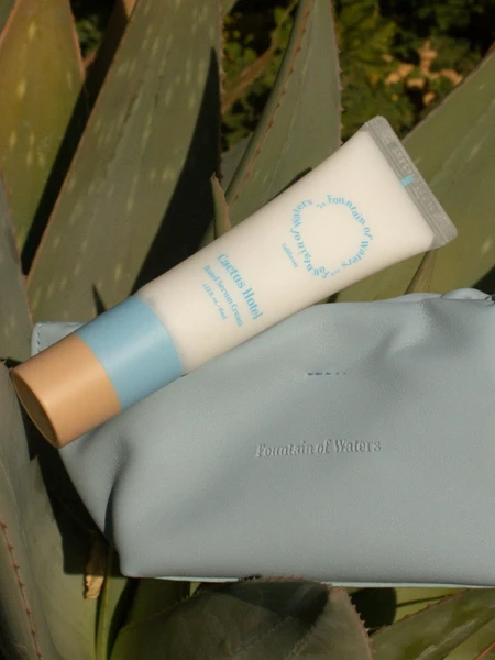 Парфюмированный крем-сыворотка для рук с антиоксидантами Fountain of Waters Cactus Hotel Hand Serum Cream Парфюмированный крем-сыворотка для рук с антиоксидантами Fountain of Waters Cactus Hotel Hand Serum Cream