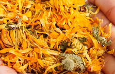 Органический успокаивающий крем с календулой AROMATICA Calendula Juicy Cream