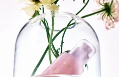 Эссенция с растительными экстрактами для сияния кожи Huxley Skin Glow Essence Vita Radiance