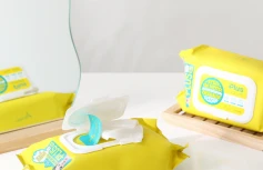 Очищающие салфетки для снятия макияжа Ariul The Perfect Cleansing Plus