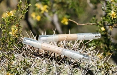 Увлажняющий консилер с экстрактом опунции Huxley Relaxing Concealer Stay Sun Safe SPF30PA++ 01 Burning Sand
