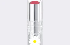 Лимитированный оттеночный бальзам для губ AMUSE Dew Balm 06 Dew Rose Daisy Edition