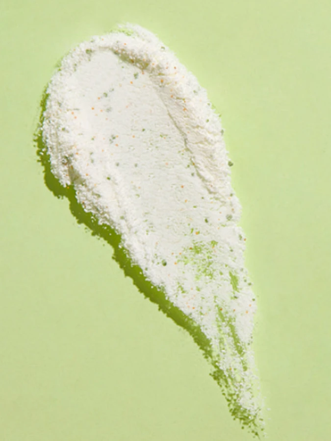 Себорегулирующая энзимная пудра с экстрактом чайного дерева Papa Recipe Tea Tree Control Enzyme Powder Cleanser