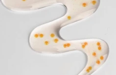 Восстанавливающая сыворотка с пептидами и центеллой Centellian24 Madeca Vital Capsule Serum