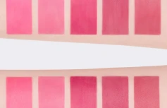 Матовый тинт для губ Dasique Water Blur Tint #08 Chilling