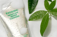 Гель для умывания с экзосомами и экстрактом хауттюйнии DR.REBORN Exosome Heartleaf Repair Cleanser