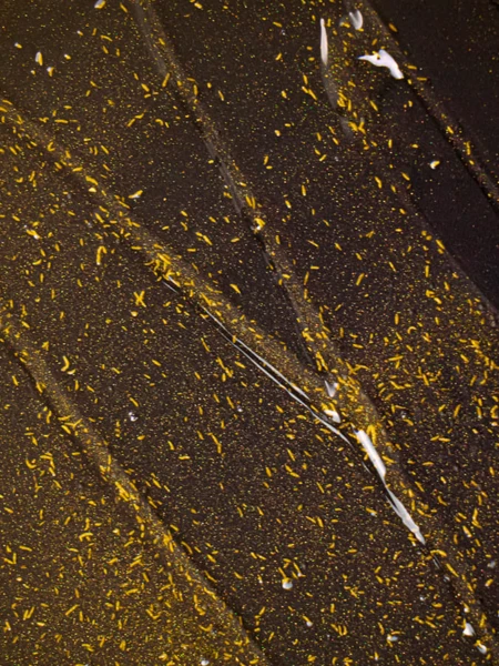 Разглаживающий крем с экзосомами и чёрной икрой DR.REBORN Exosome Black Caviar 77 Elixir Cream