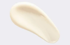 Интенсивный обновляющий крем для лица с бакучиолом и спикулами Derma Factory Bakuchiol Spicule MAX Cream