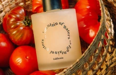 Парфюмированный гель для душа со скрабирующими частичками Fountain of Waters Tomato Garden Body Wash
