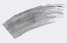 Подкручивающая тушь для ресниц с металлической кисточкой NEOGEN Extra Slim Metal Maxicara Black