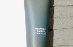 Очищающая глиняная маска с экстрактом полыни IsNtree Mugwort Calming Clay Mask