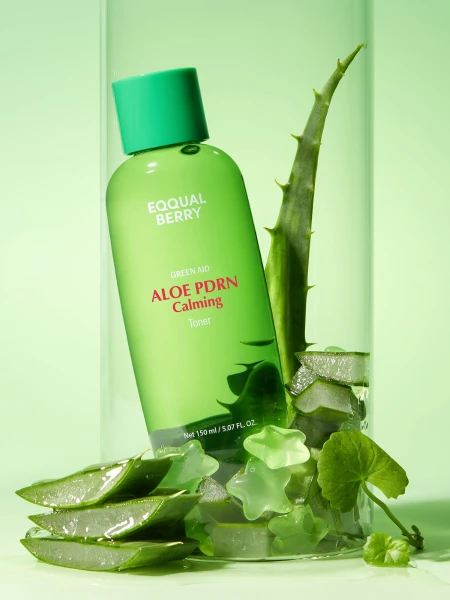 Успокаивающий тонер с алоэ и ПДРН EQQUALBERRY Aloe PDRN Calming Toner