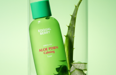Успокаивающий тонер с алоэ и ПДРН EQQUALBERRY Aloe PDRN Calming Toner
