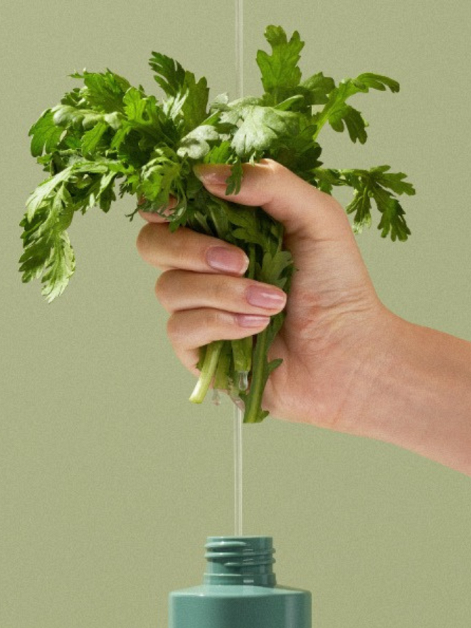 Очищающее гидрофильное масло с экстрактом полыни Fraijour Original Herb Wormwood Cleansing Oil