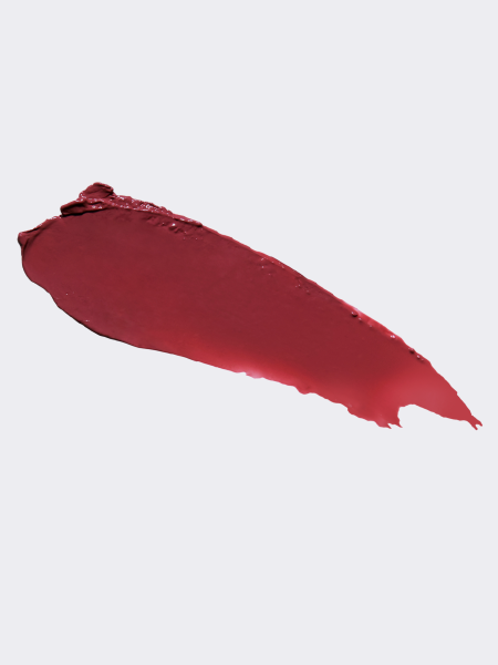 Многофункциональный оттеночный бальзам-слайдер для губ BRAYE Lipsleek 04 Savvy